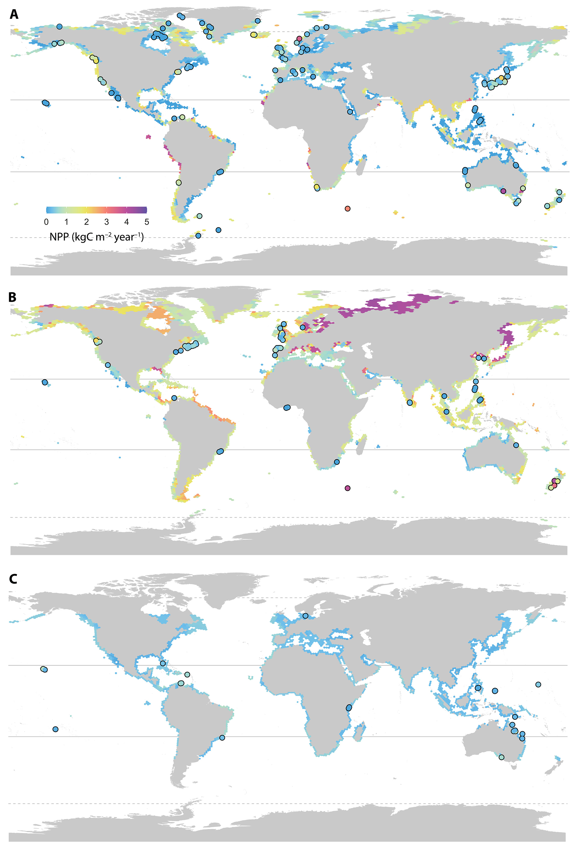 Global seaweed productivity | Biodiversity Data Science
